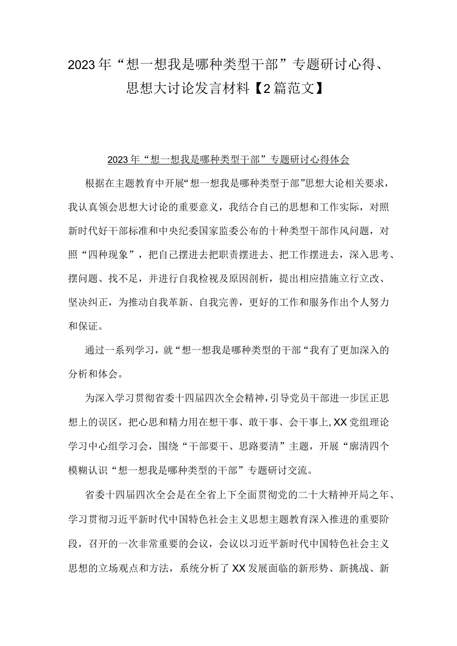 2023年“想一想我是哪种类型干部”专题研讨心得、思想大讨论发言材料【2篇范文】.docx_第1页