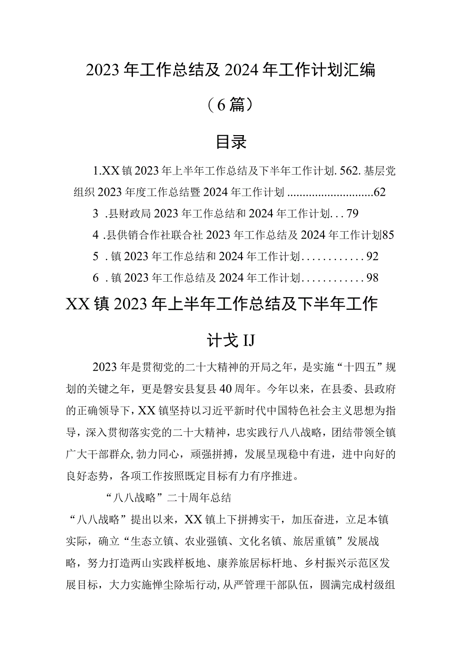 2023年工作总结及2024年工作计划汇编（6篇）.docx_第1页