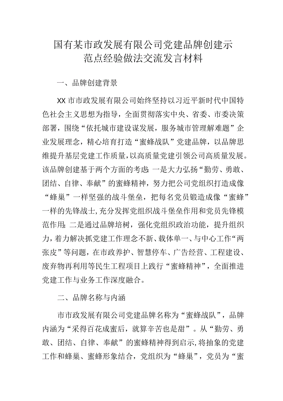 国有某市政发展有限公司党建品牌创建示范点经验做法交流发言材料.docx_第1页