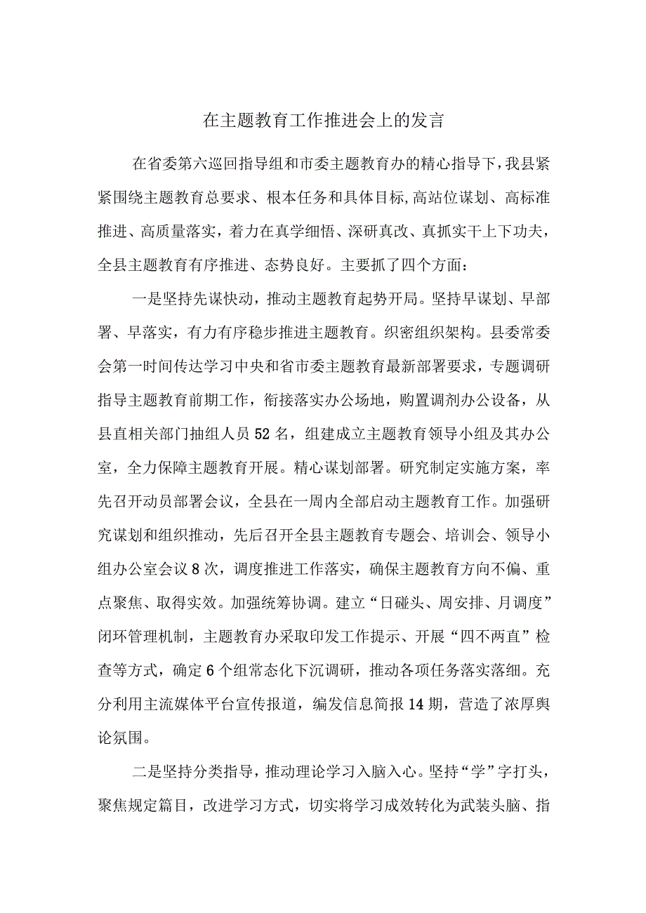 在主题教育工作推进会上的发言 (2).docx_第1页