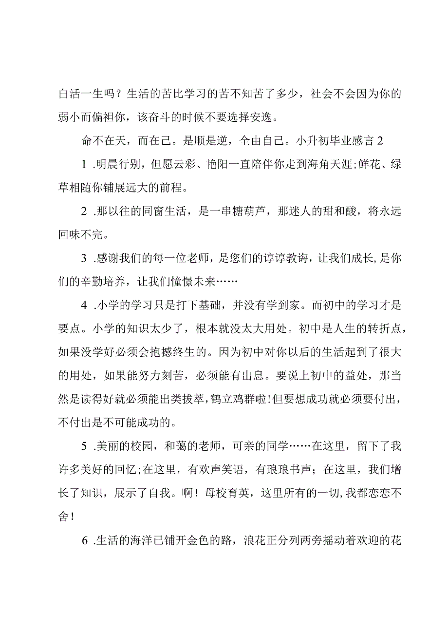 小升初毕业感言.docx_第2页