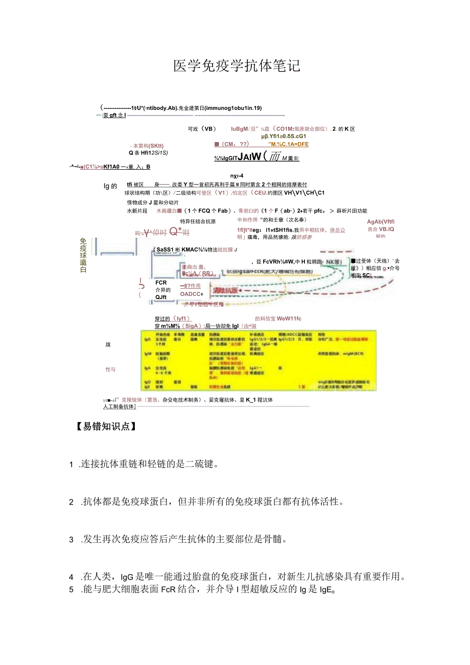 医学免疫学抗体笔记.docx_第1页