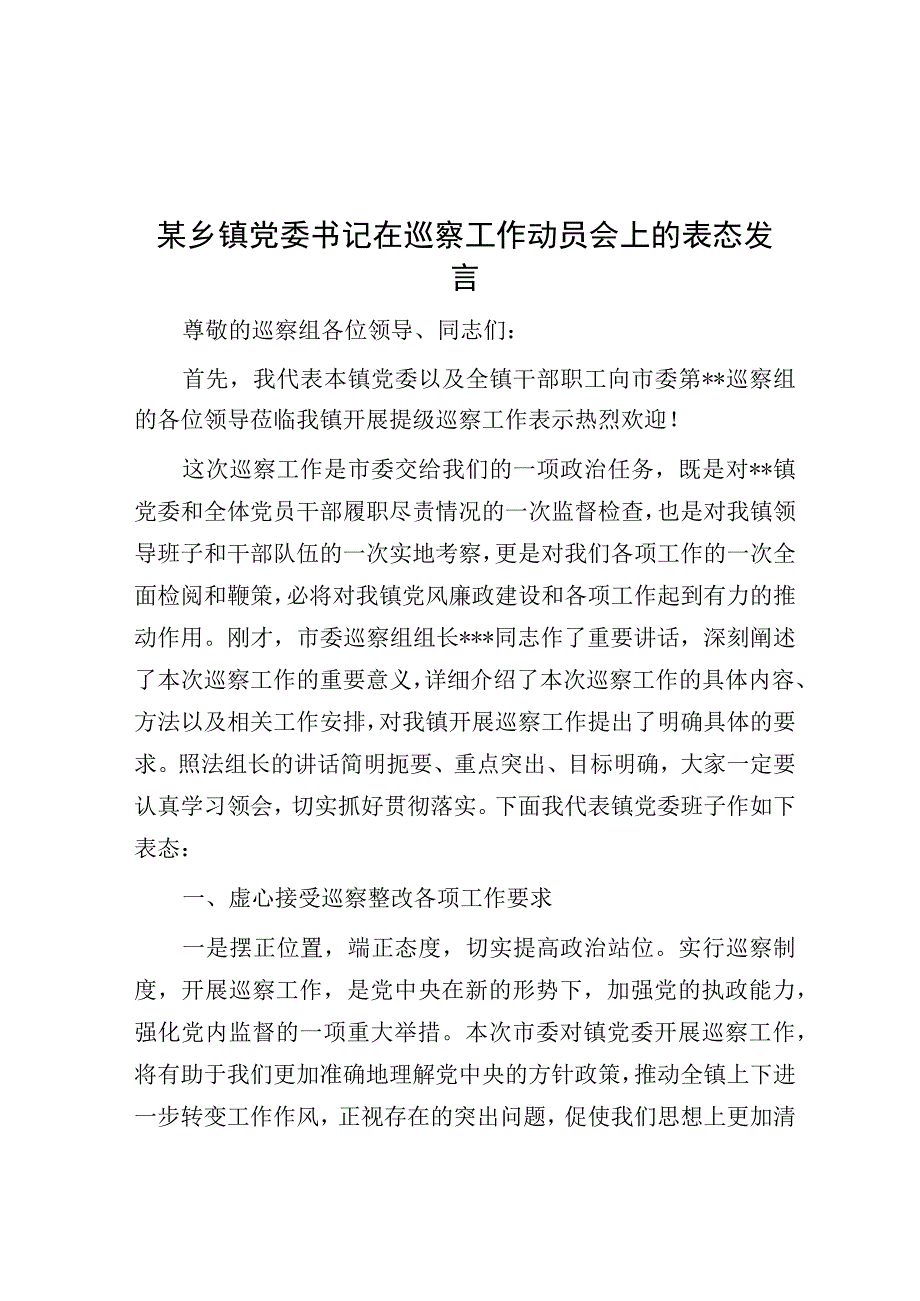 在巡察工作动员会上的表态发言（乡镇党委书记）.docx_第1页