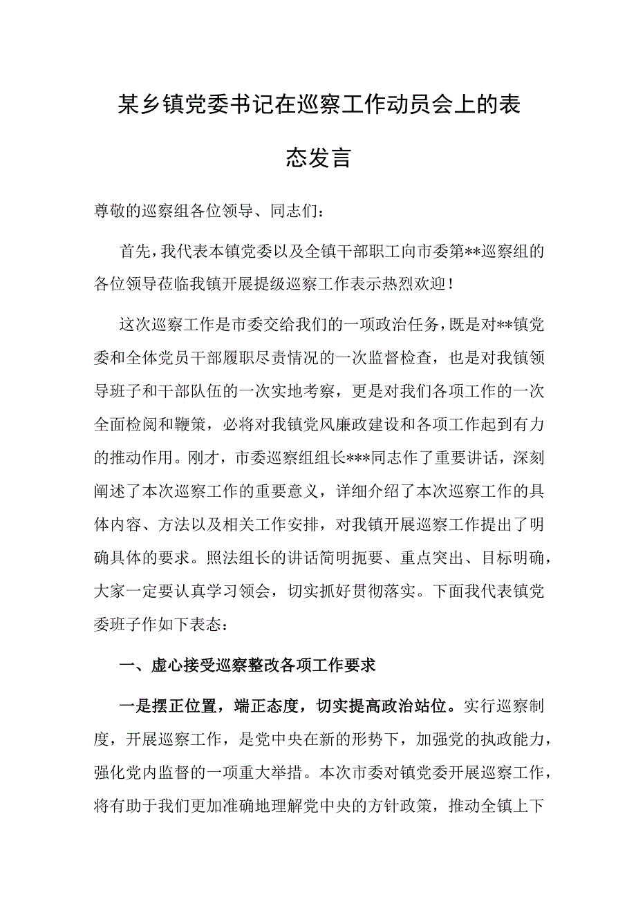 在巡察工作动员会上的表态发言（乡镇党委书记）(1).docx_第1页