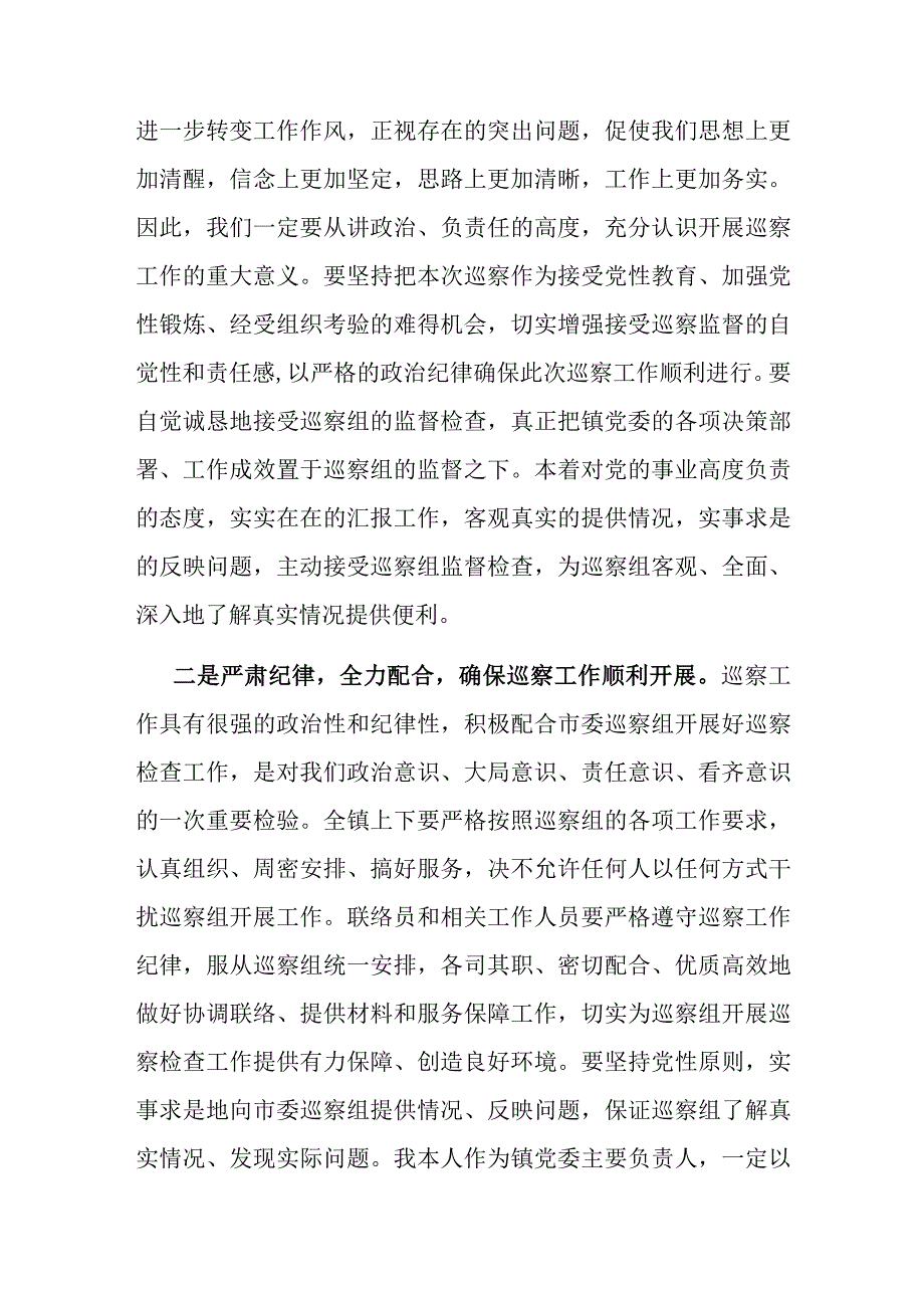 在巡察工作动员会上的表态发言（乡镇党委书记）(1).docx_第2页