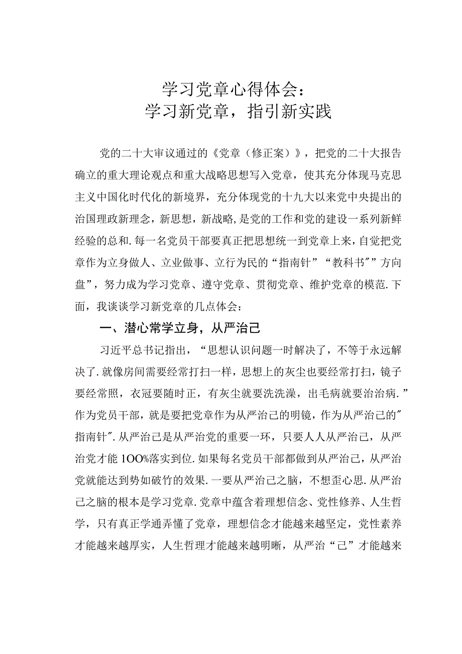 学习党章心得体会：学习新党章指引新实践.docx_第1页