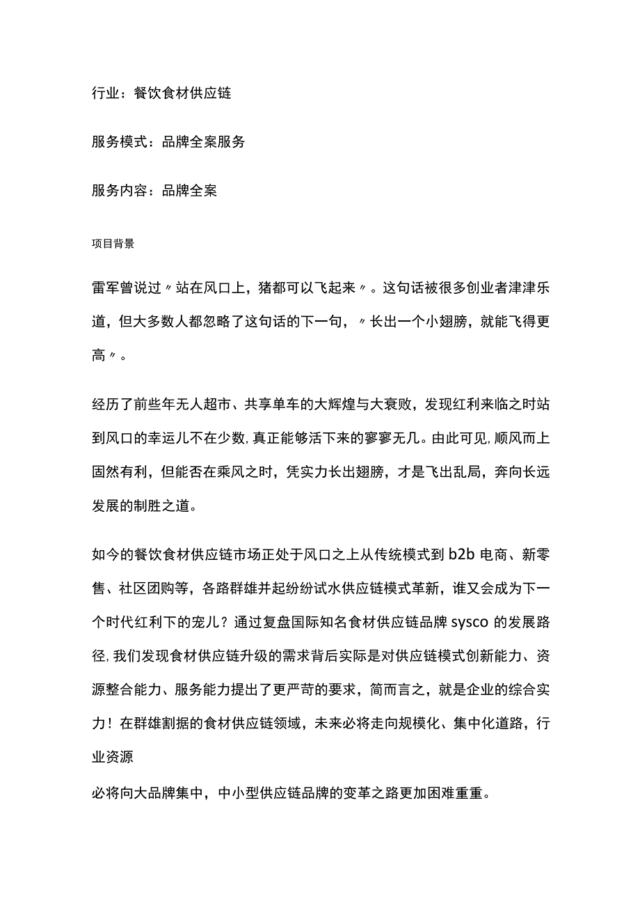 品牌全案策划案例.docx_第2页