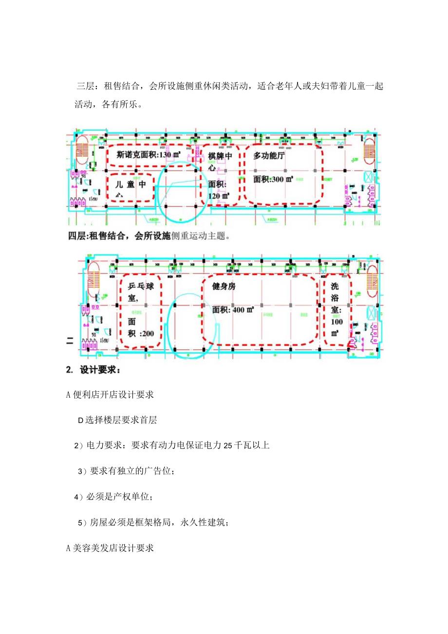 商业项目设计任务书.docx_第3页