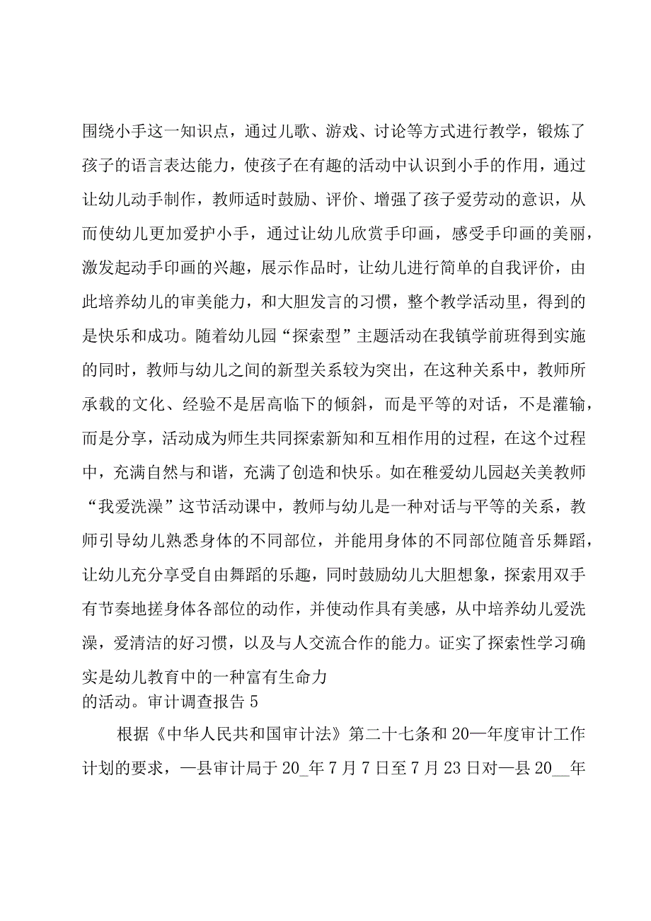 审计调查报告.docx_第2页