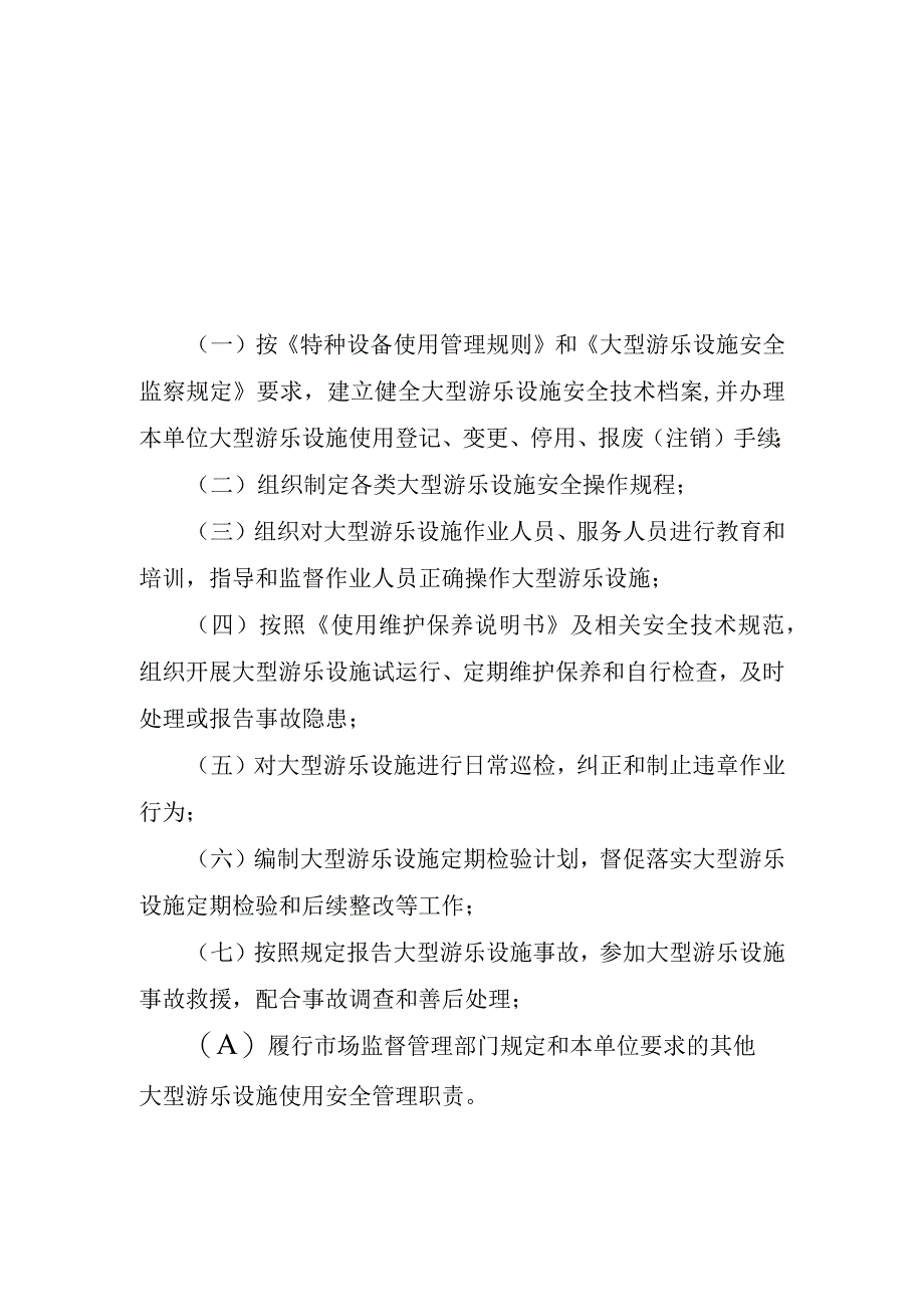 大型游乐设施（使用单位）安全总监职责、安全员守则.docx_第3页