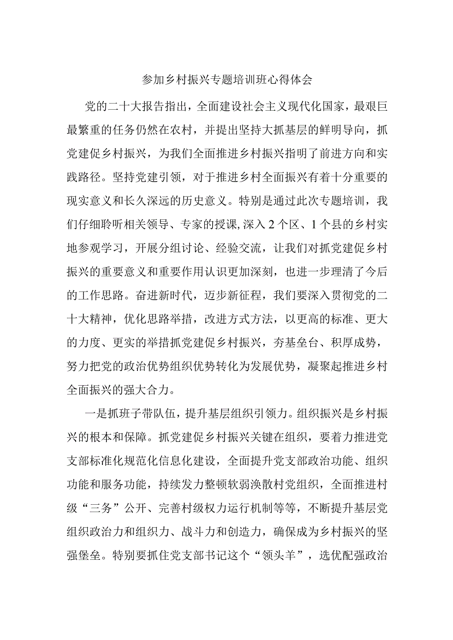 参加乡村振兴专题培训班心得体会.docx_第1页