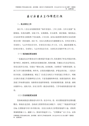 公安系统2021年重点工作情况总结汇报.docx