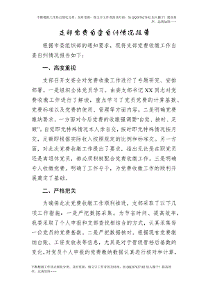 支部党费自查自纠情况报告.docx