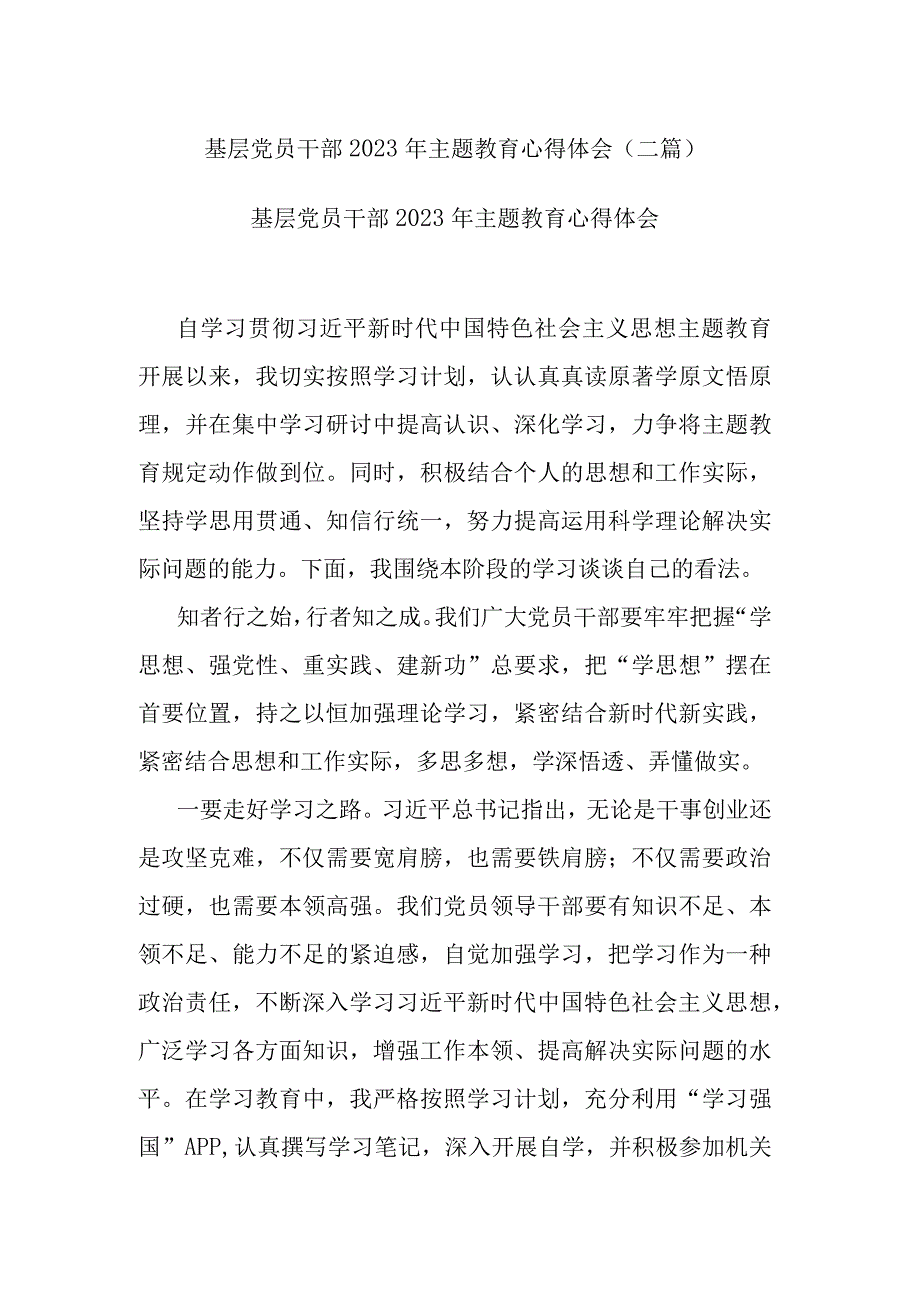 基层党员干部2023年主题教育心得体会(二篇).docx_第1页