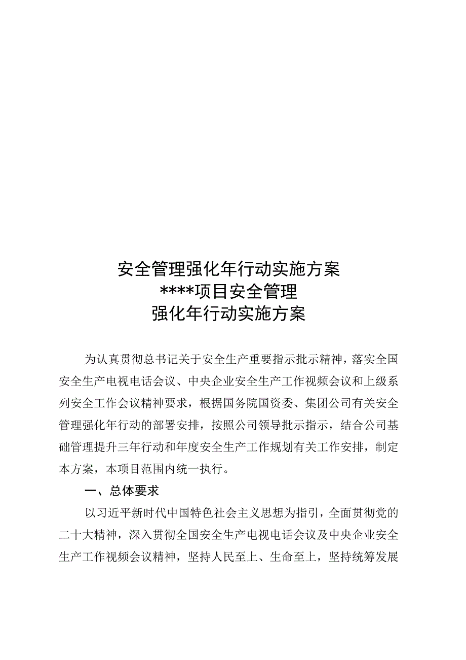 安全管理强化年行动实施方案.docx_第1页