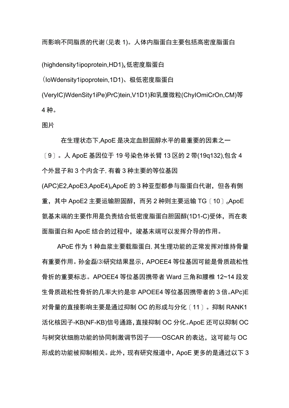 ApoE与骨质疏松症相关性的研究进展2023.docx_第2页