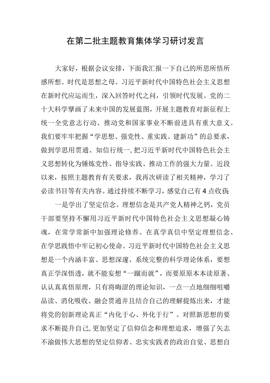 在第二批主题教育集体学习研讨发言.docx_第1页