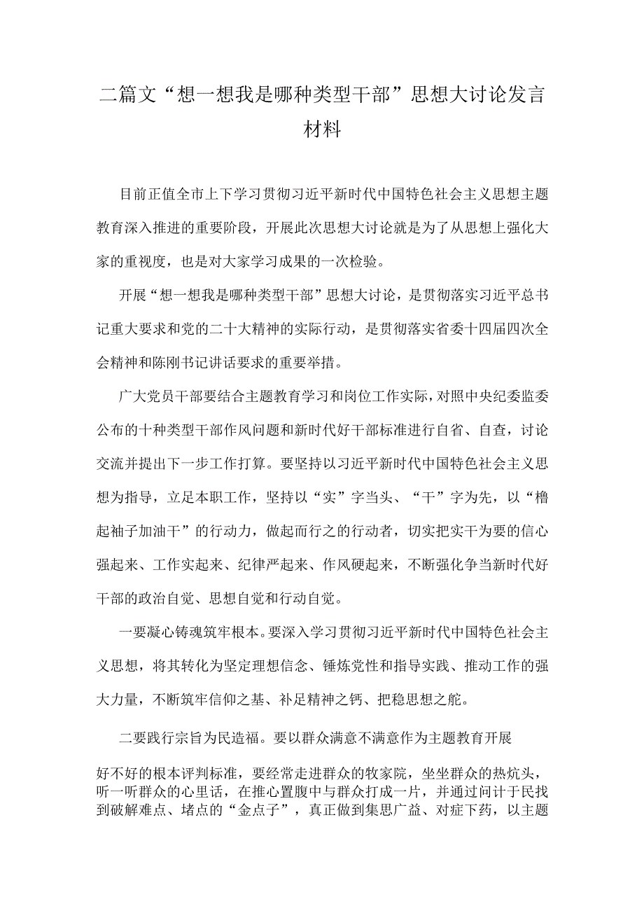 二篇文“想一想我是哪种类型干部”思想大讨论发言材料.docx_第1页