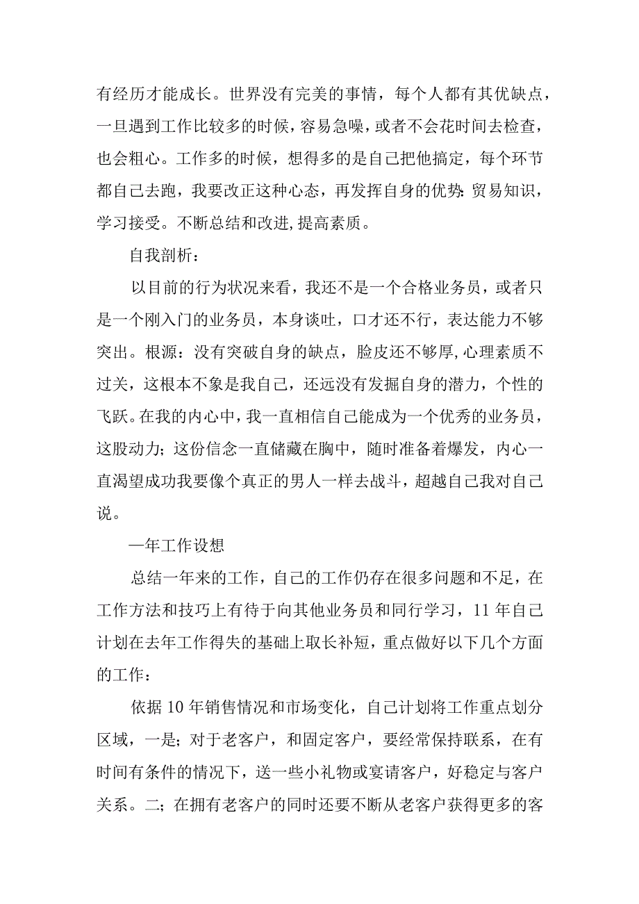 2024年业务员销售计划格式.docx_第2页