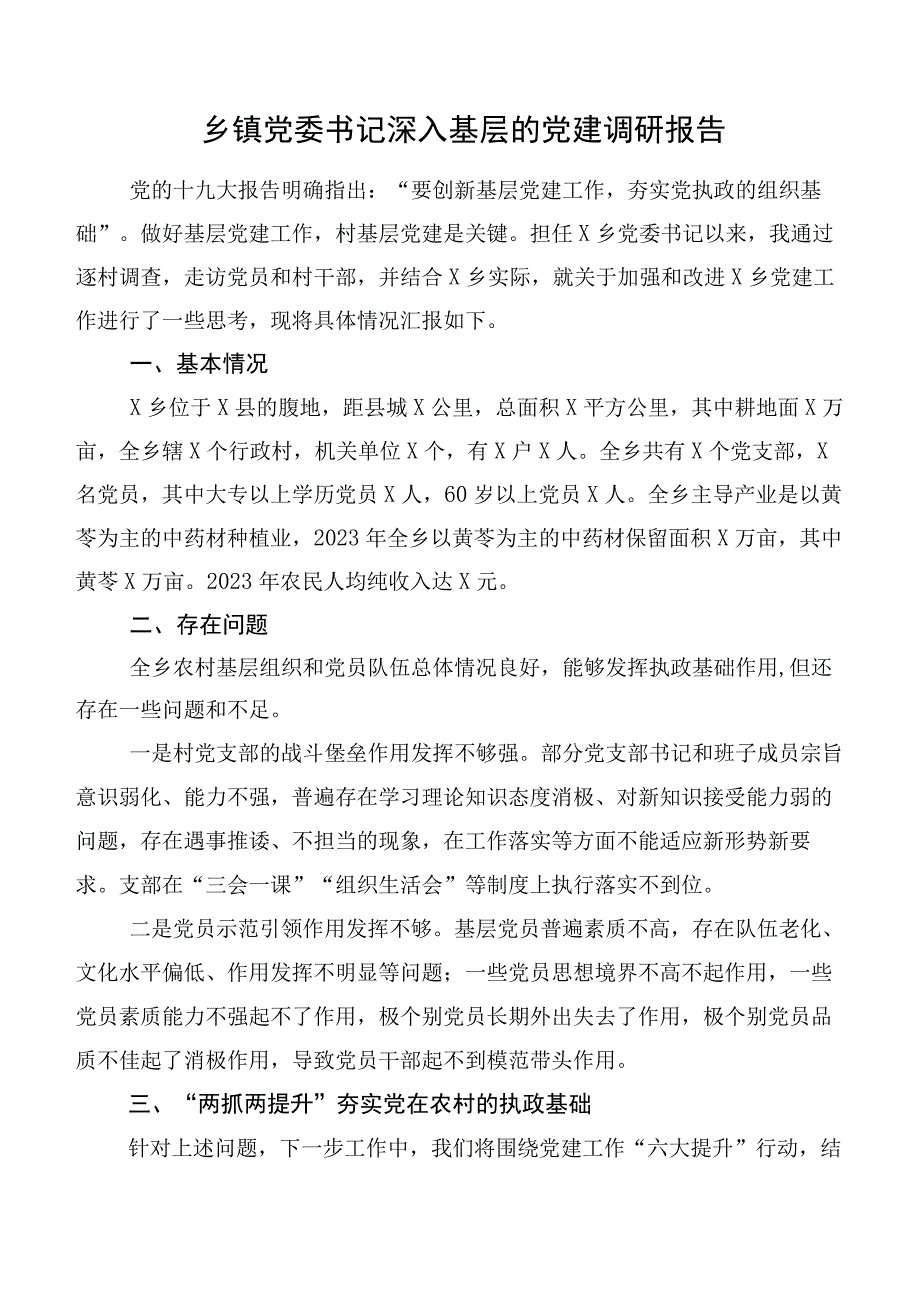 乡镇党委书记深入基层的党建调研报告.docx_第1页