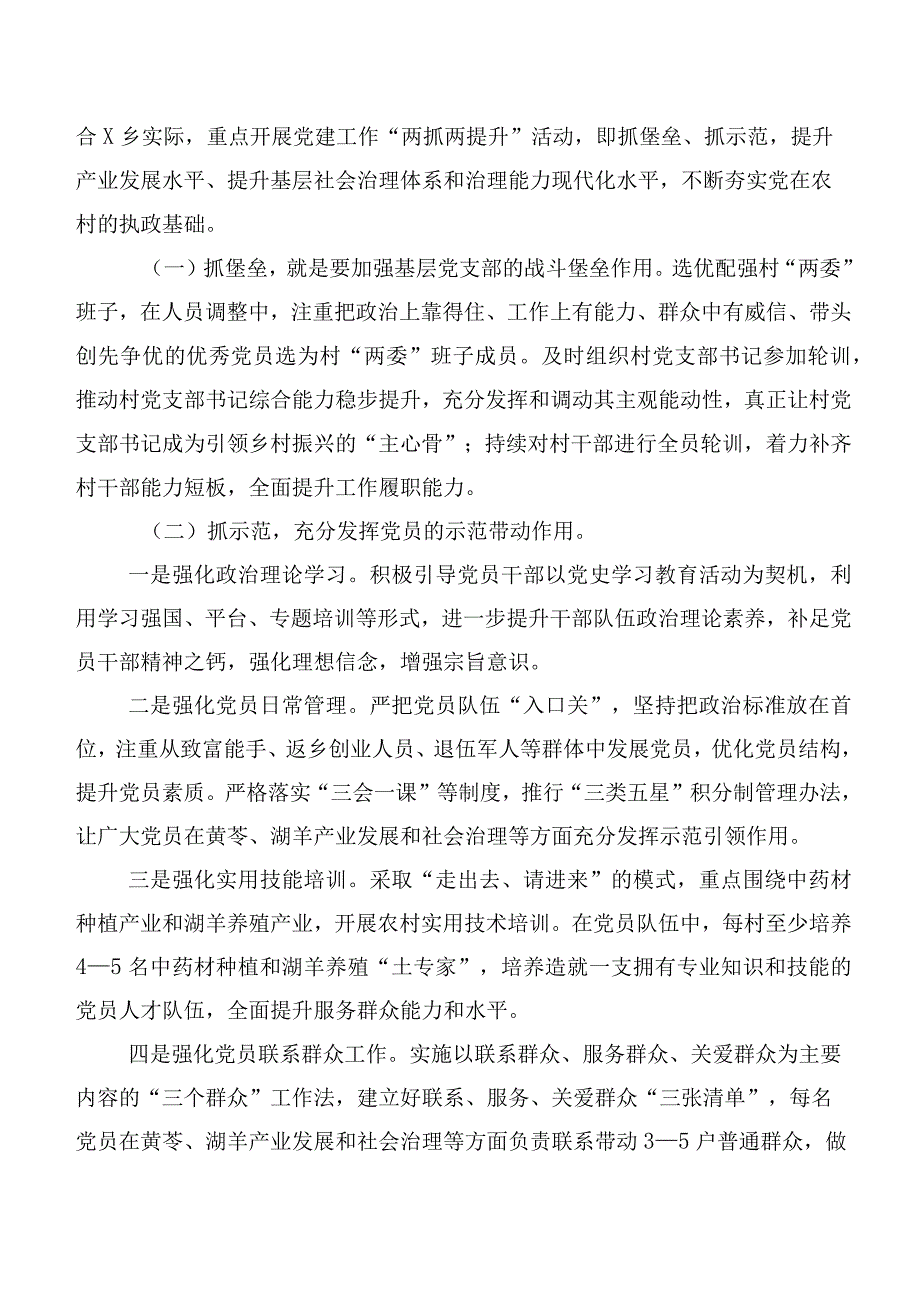 乡镇党委书记深入基层的党建调研报告.docx_第2页