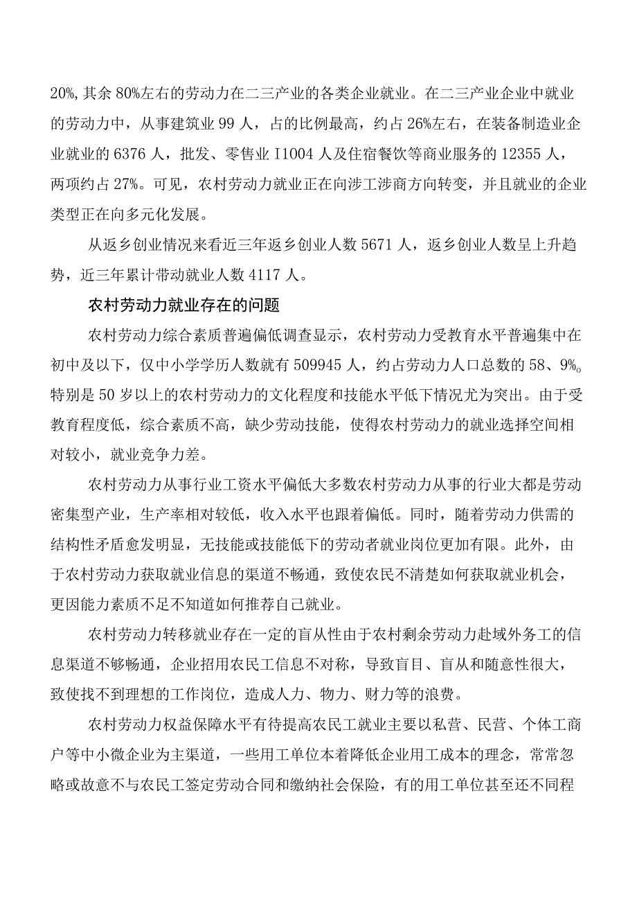 XX市农村劳动力就业情况调查报告.docx_第2页