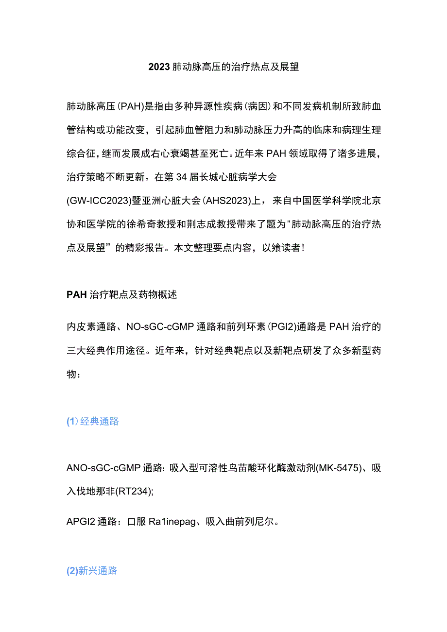 2023肺动脉高压的治疗热点及展望.docx_第1页