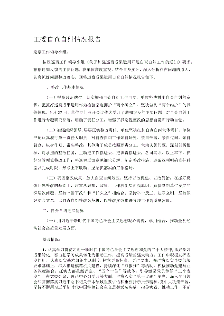 工委自查自纠情况报告.docx_第1页