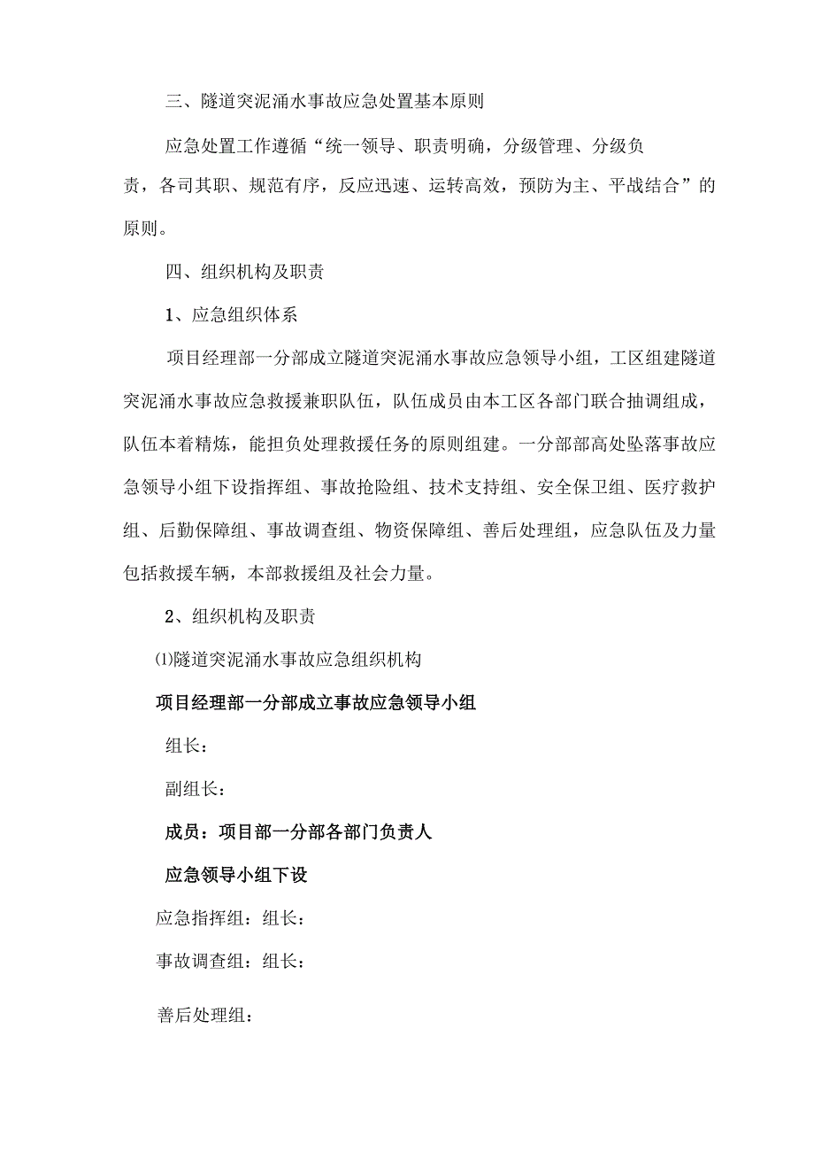 隧道突泥涌水事故专项应急预案.docx_第2页