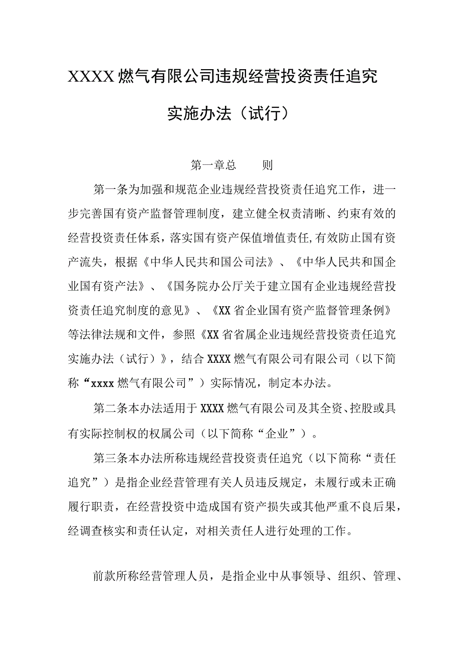 燃气有限公司违规经营投资责任追究实施办法（试行）.docx_第1页