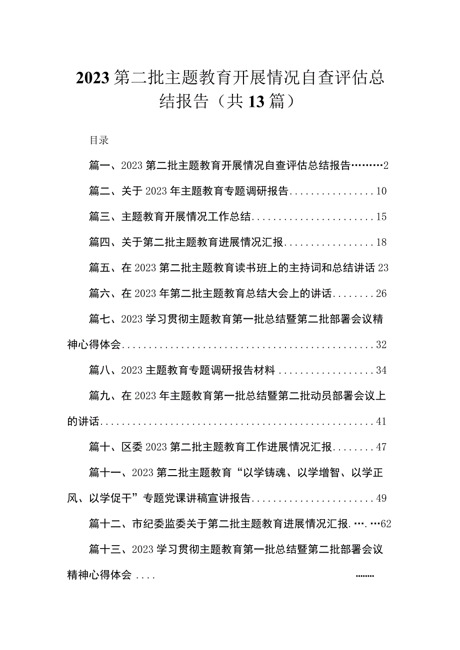 第二批专题开展情况自查评估总结报告精选（参考范文13篇）.docx_第1页