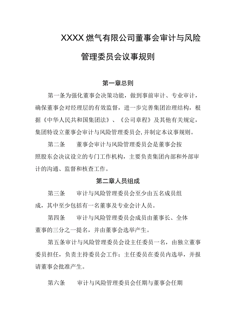 燃气有限公司董事会审计与风险管理委员会议事规则.docx_第1页