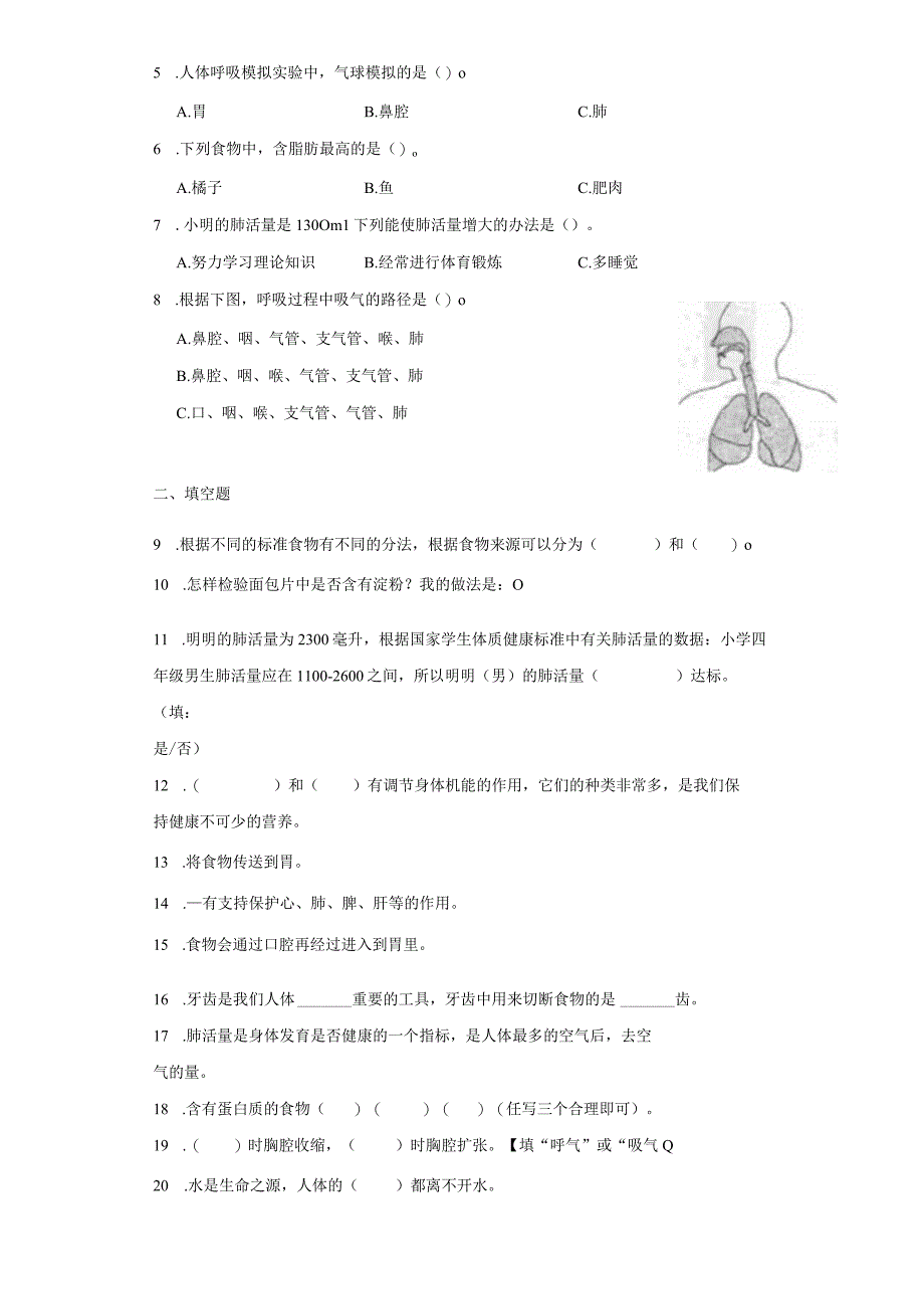 教科版四年级上册科学第二单元呼吸与消化综合训练题.docx_第2页