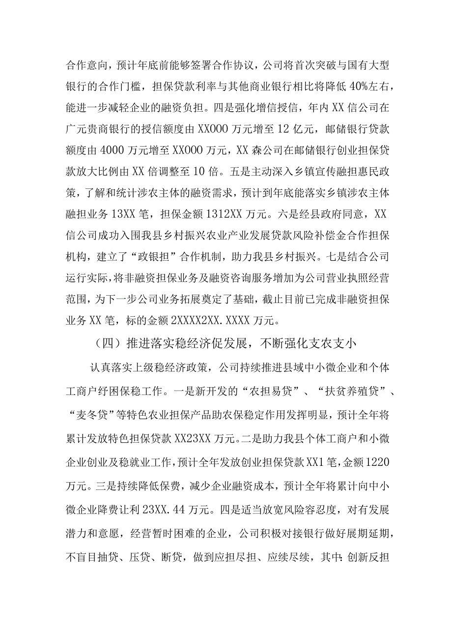 担保公司工作总结.docx_第3页