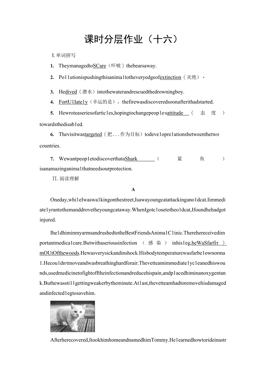 课时分层作业16 教学·知识细解码.docx_第1页