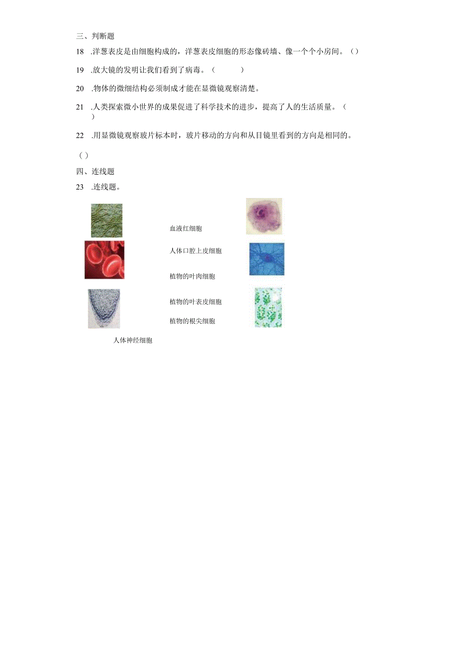 教科版六年级上册科学第一单元微小世界综合训练题.docx_第3页