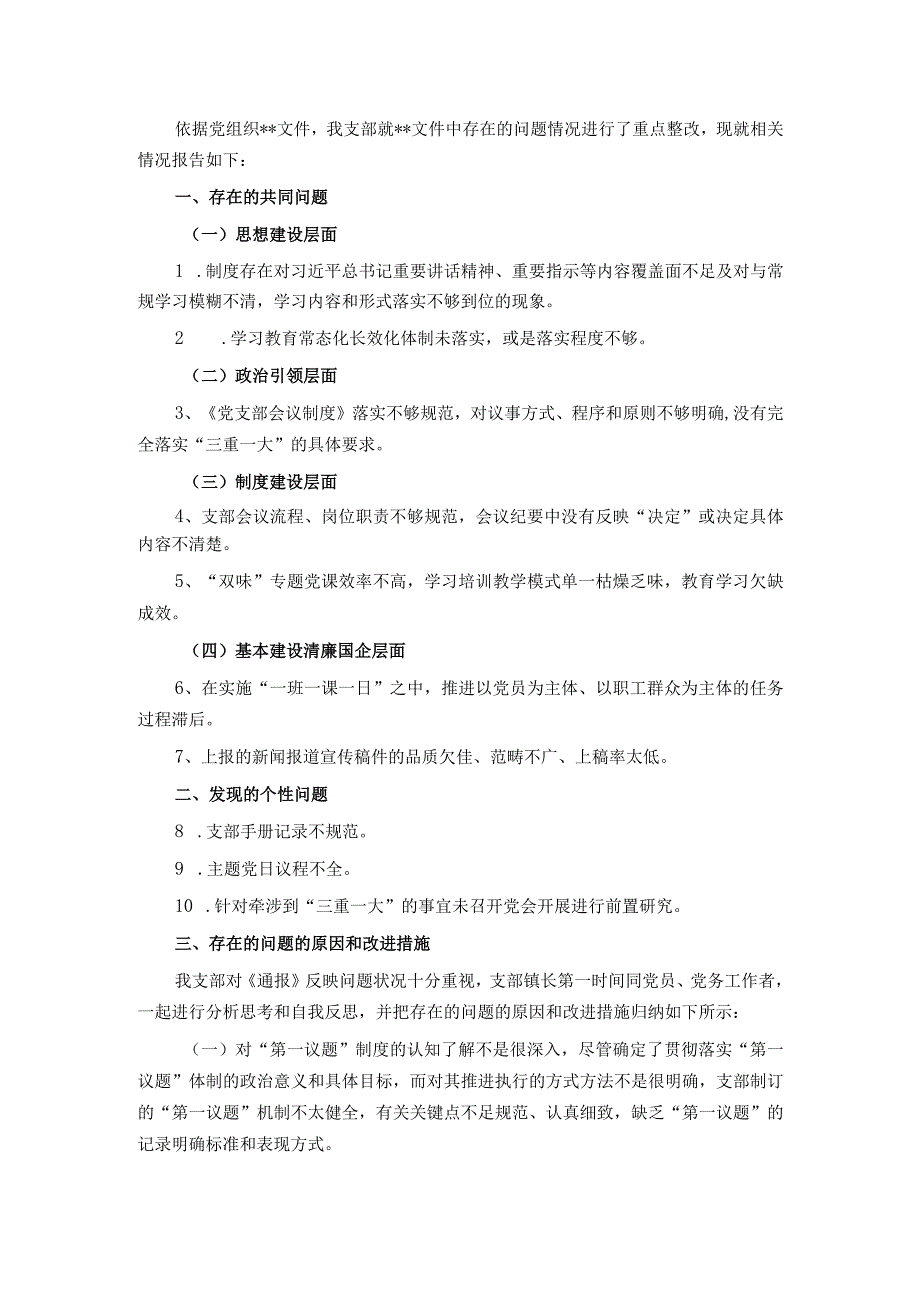 支部党建工作目标责任检查整改情况报告.docx_第1页