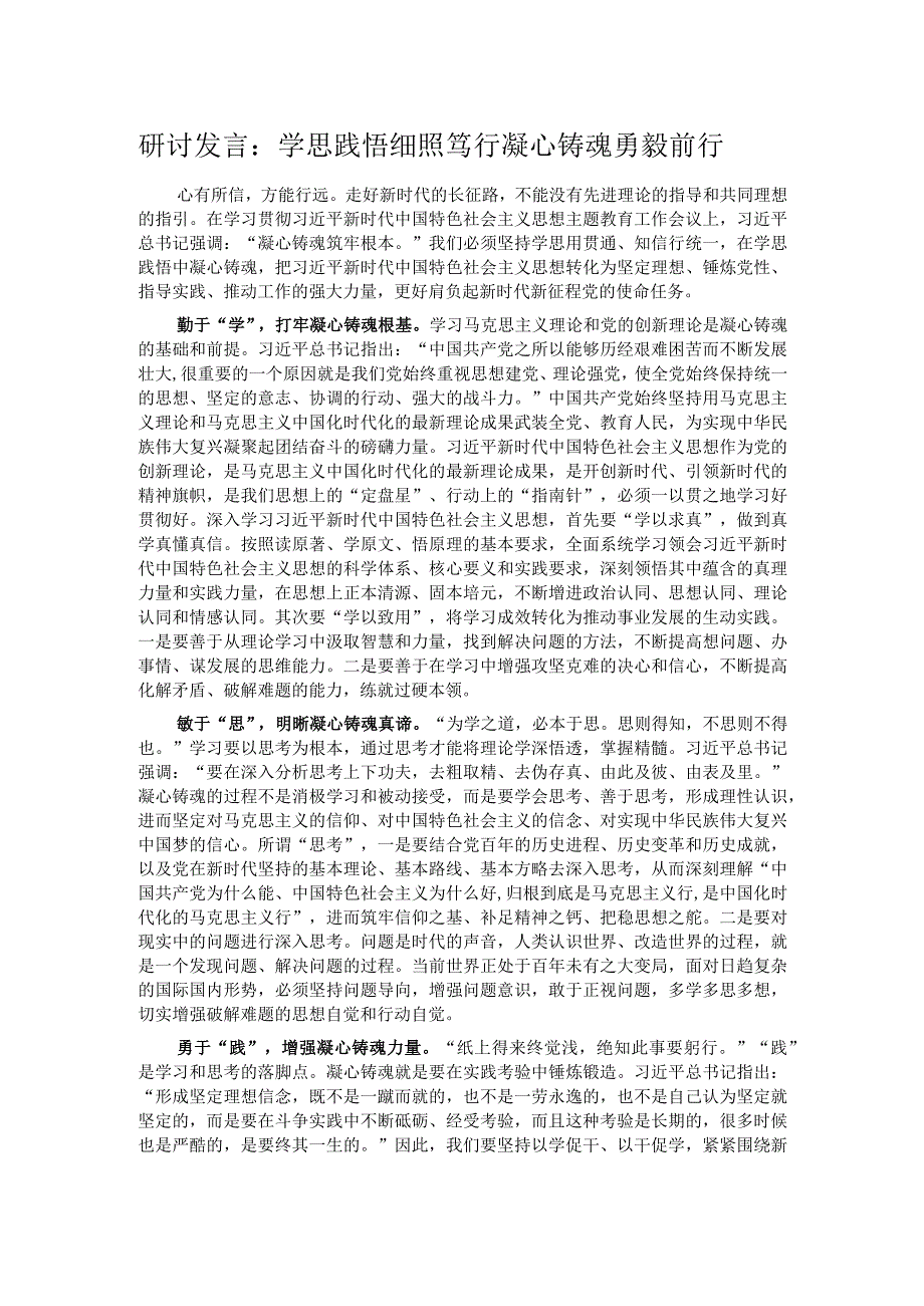 研讨发言：学思践悟细照笃行凝心铸魂勇毅前行.docx_第1页