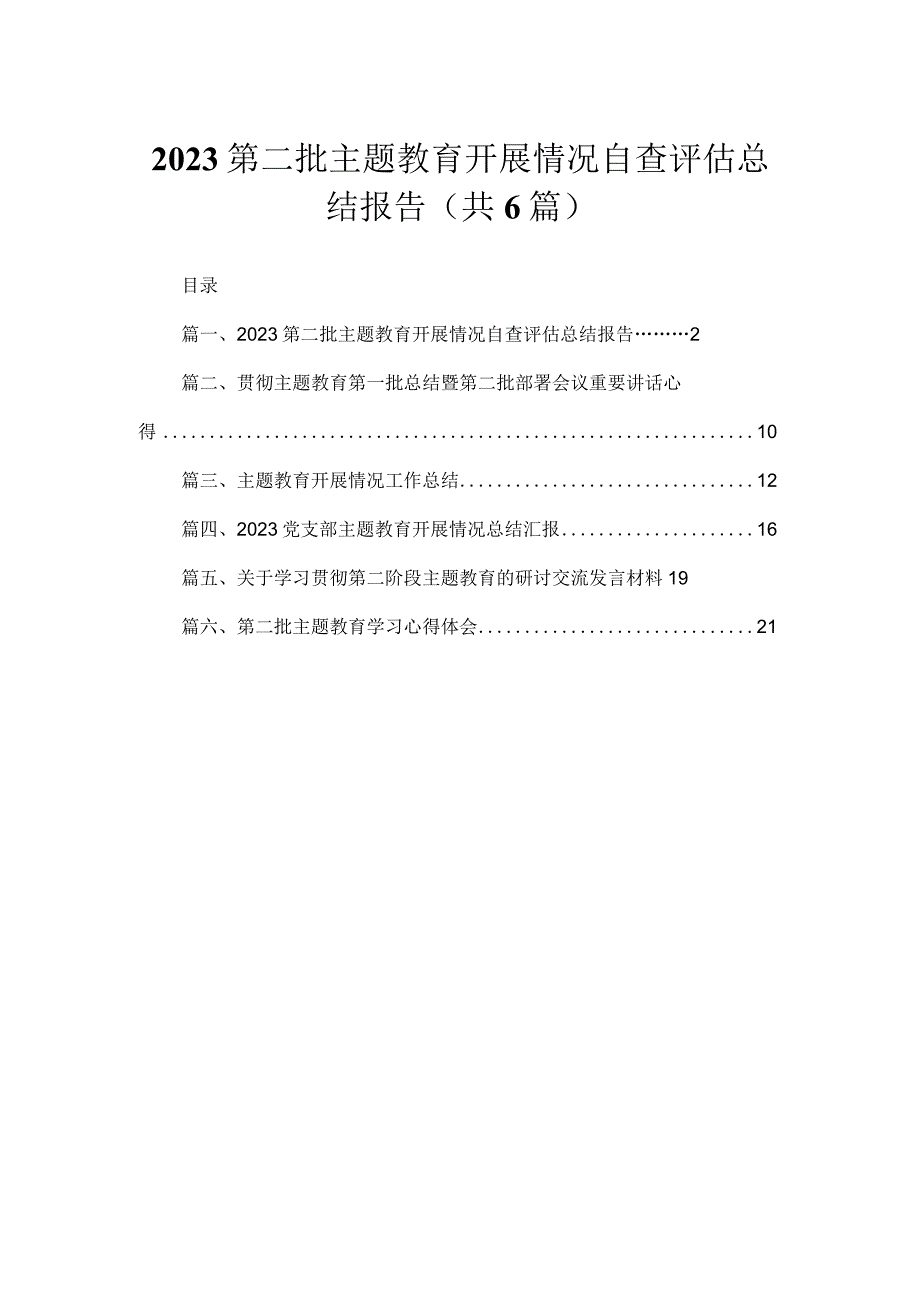 第二批专题开展情况自查评估总结报告（共6篇）.docx_第1页