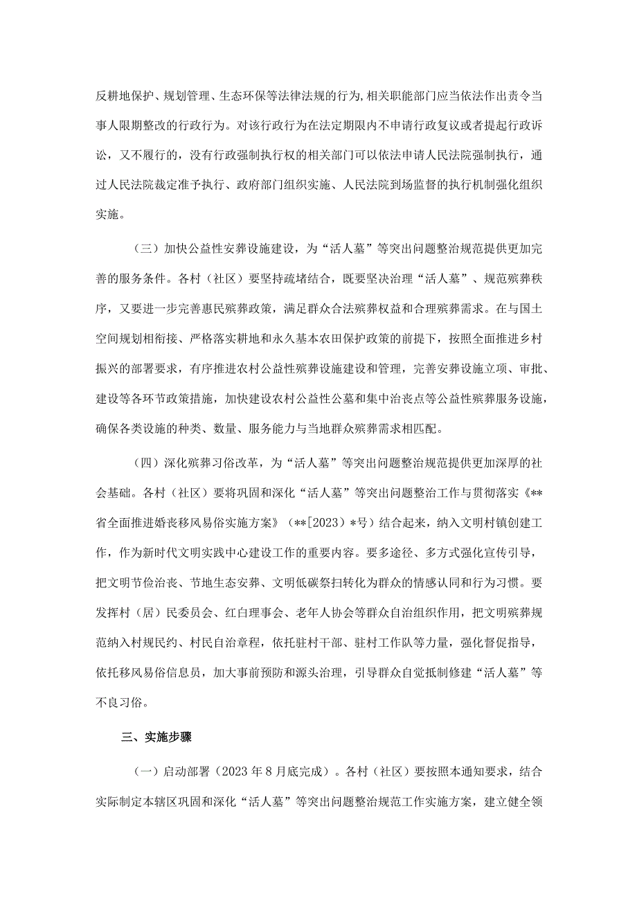 镇巩固和深化“活人墓”等突出问题整治规范工作方案.docx_第2页