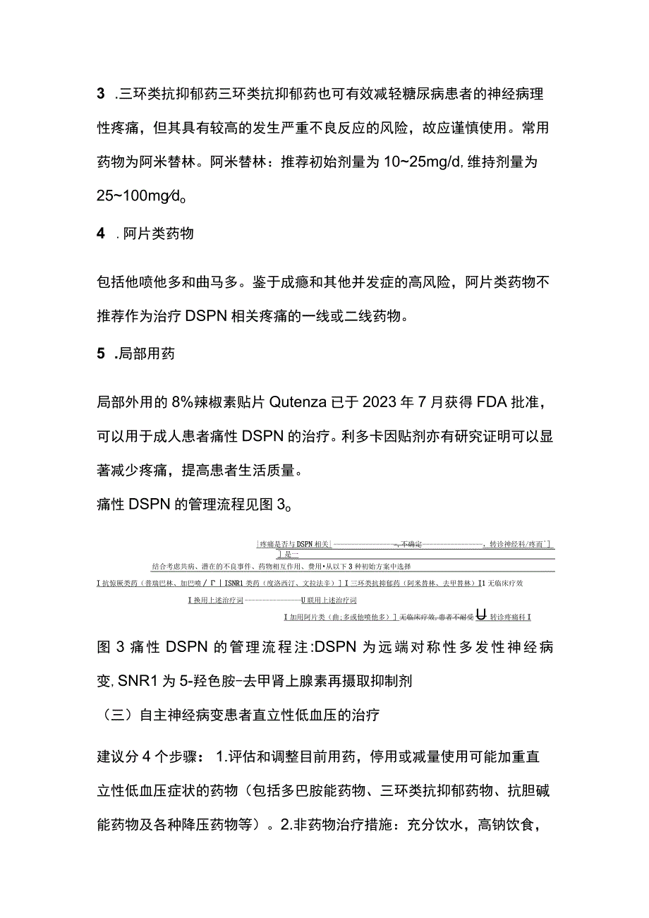 糖尿病神经病变治疗常用药物及推荐用法2024.docx_第3页