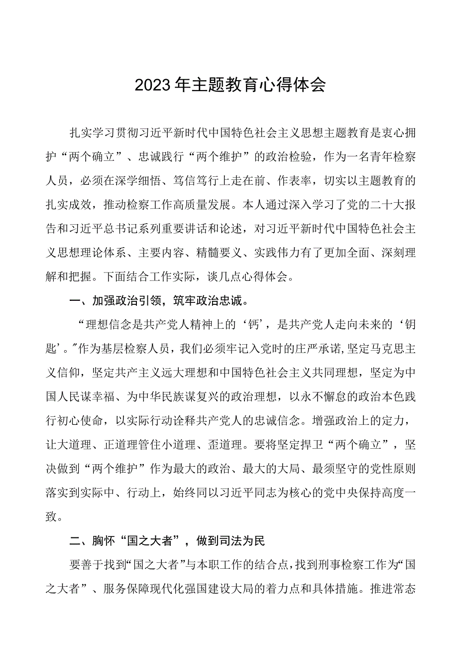 (十篇)检察院党员干部学习2023年主题教育心得体会.docx_第1页