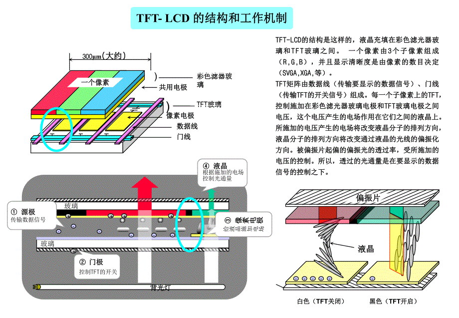 LCD-模组制程原理专题培训课件.ppt_第3页