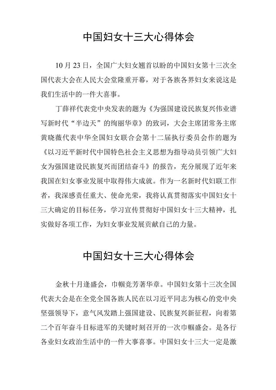 中国妇女第十三次全国代表大会的心得体会十八篇.docx_第2页