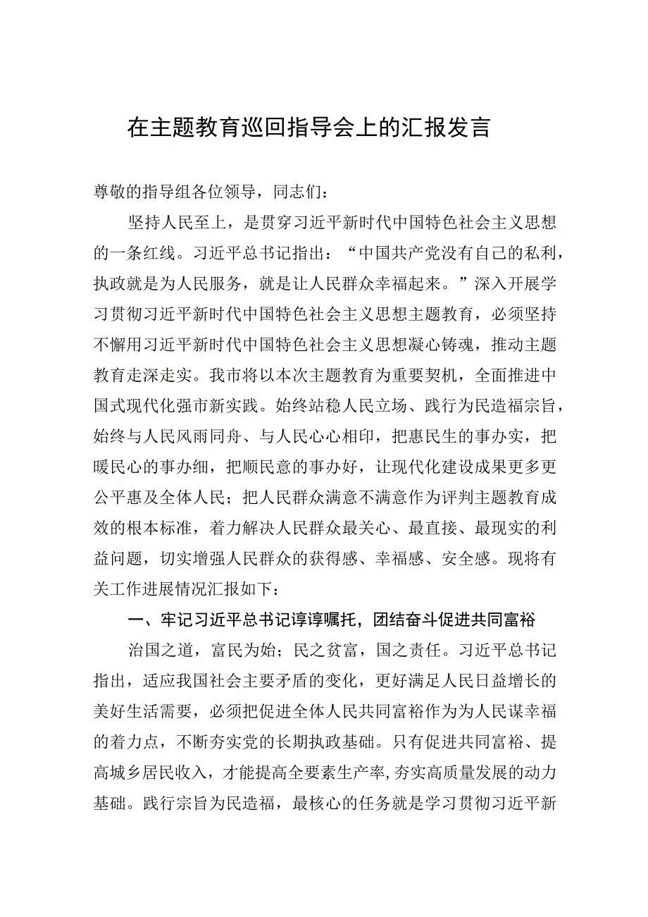 2023年在主题′教育巡回指导会上的汇报发言.docx_第1页