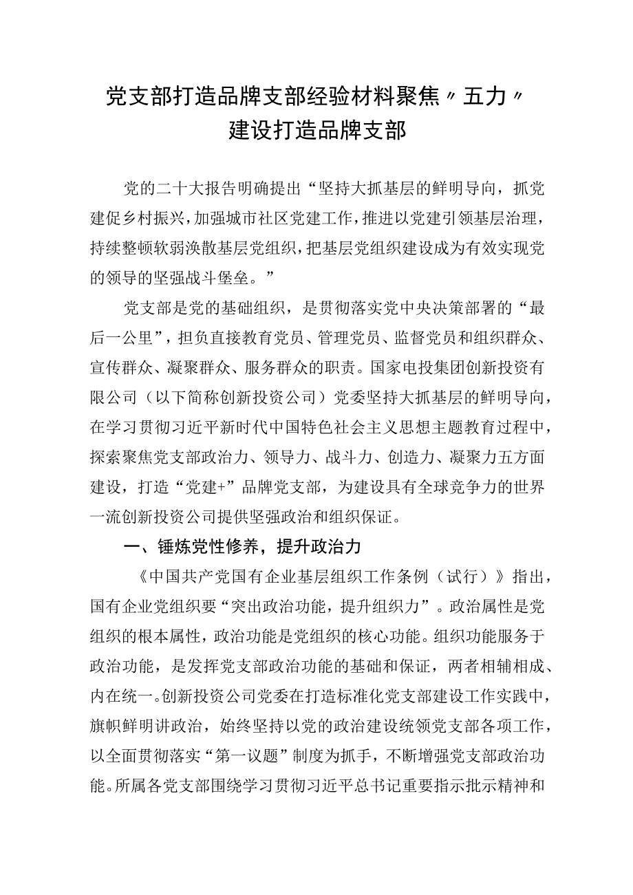 党支部打造品牌支部经验材料：聚焦“五力”建设 打造品牌支部.docx_第1页