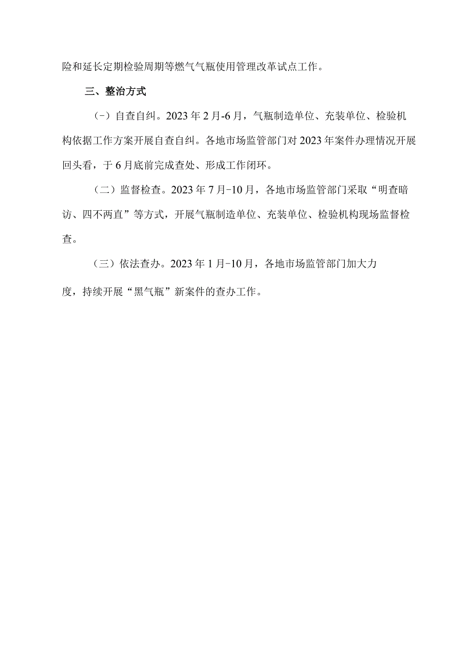 关于“黑气瓶”整治巩固提升行动方案.docx_第3页