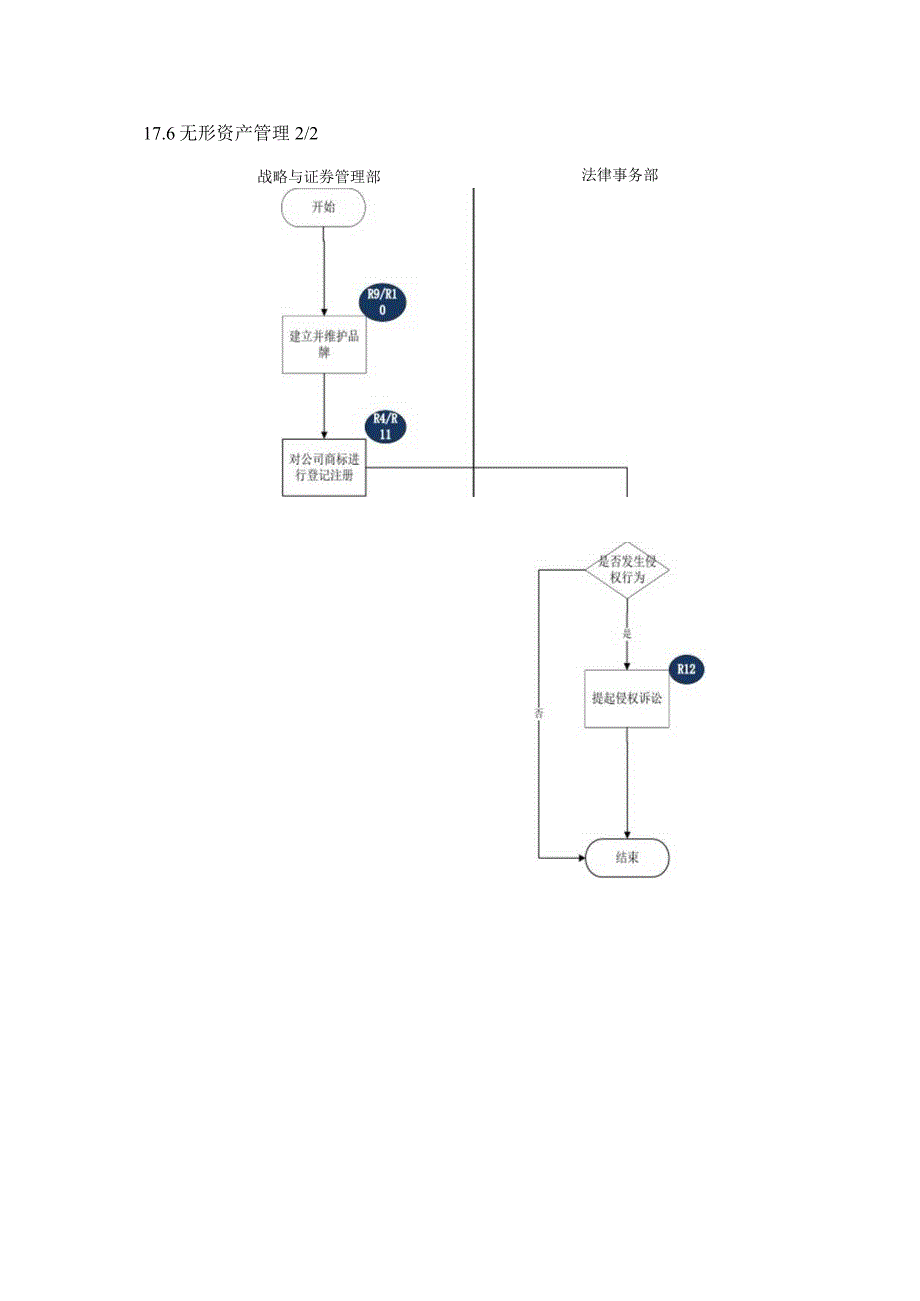 内控手册-17.6 无形资产管理.docx_第3页