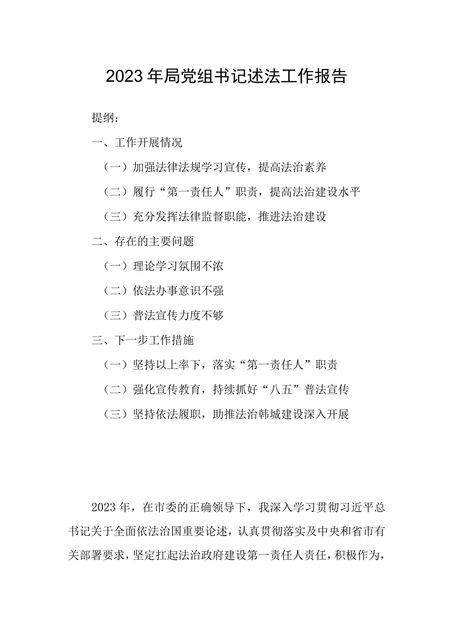 2023年局党组书记述法工作报告.docx_第1页