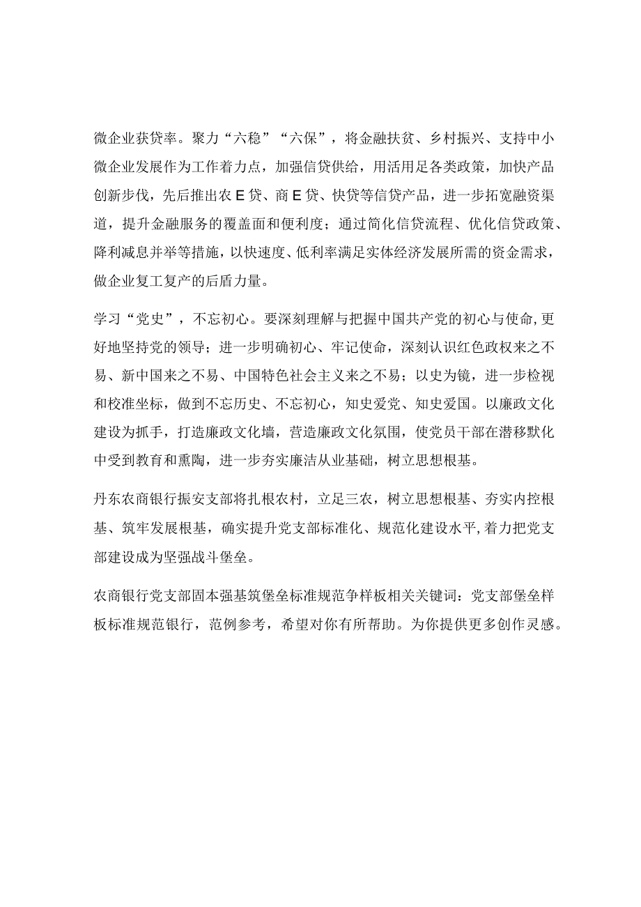 农商银行党支部固本强基筑堡垒 标准规范争样板.docx_第2页